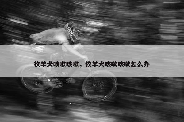 牧羊犬咳嗽咳嗽，牧羊犬咳嗽咳嗽怎么办