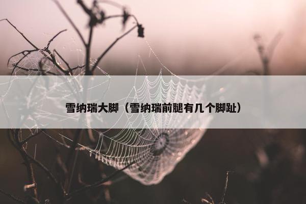 雪纳瑞大脚（雪纳瑞前腿有几个脚趾）