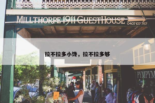 拉不拉多小馋，拉不拉多够