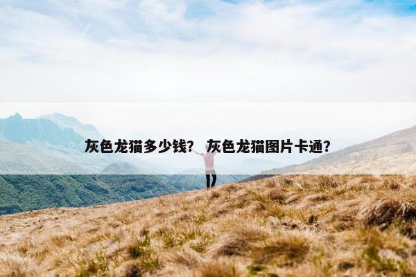灰色龙猫多少钱？ 灰色龙猫图片卡通？