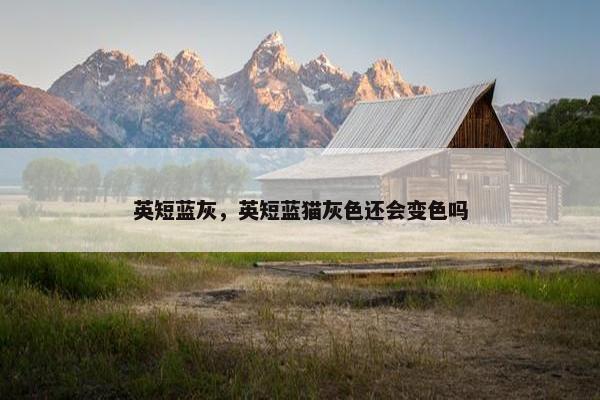 英短蓝灰，英短蓝猫灰色还会变色吗