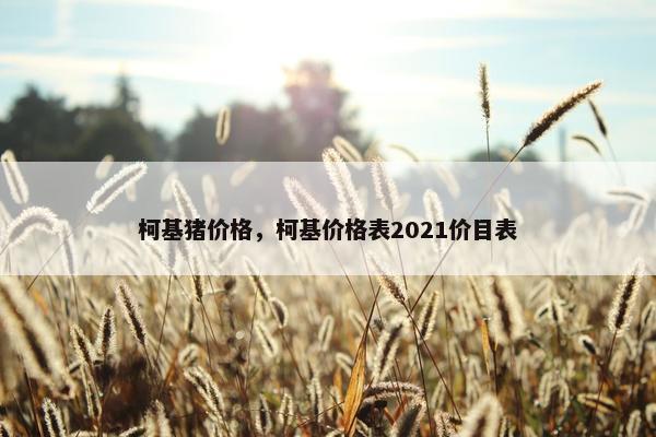 柯基猪价格，柯基价格表2021价目表