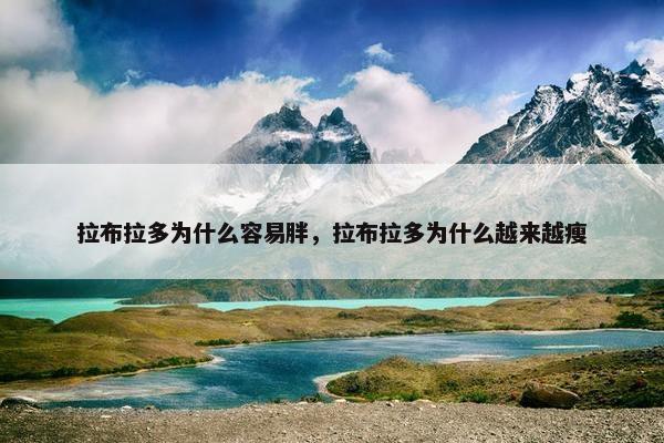 拉布拉多为什么容易胖，拉布拉多为什么越来越瘦