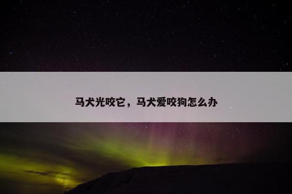 马犬光咬它，马犬爱咬狗怎么办