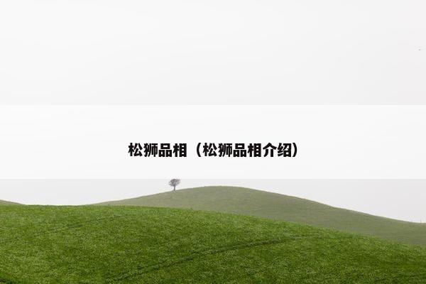 松狮品相（松狮品相介绍）