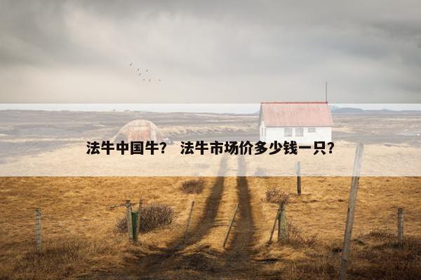 法牛中国牛？ 法牛市场价多少钱一只？