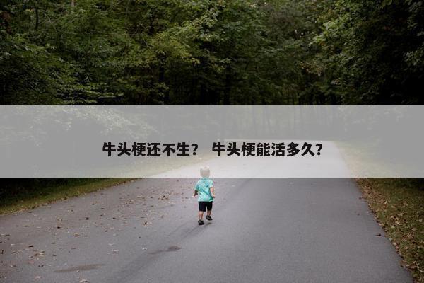 牛头梗还不生？ 牛头梗能活多久？