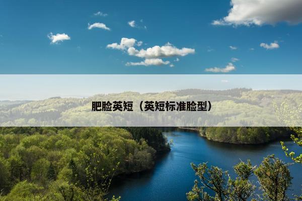 肥脸英短（英短标准脸型）