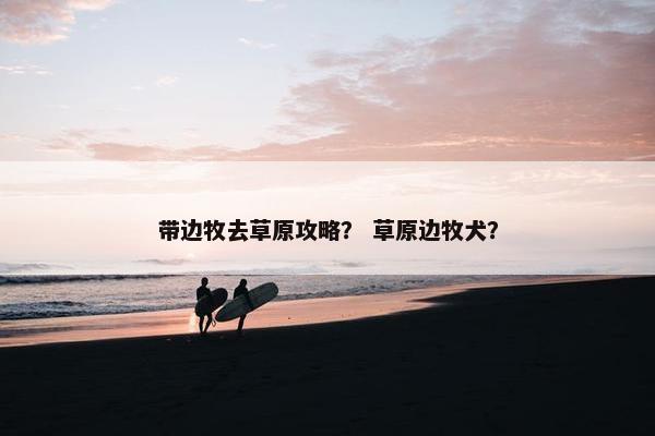 带边牧去草原攻略？ 草原边牧犬？
