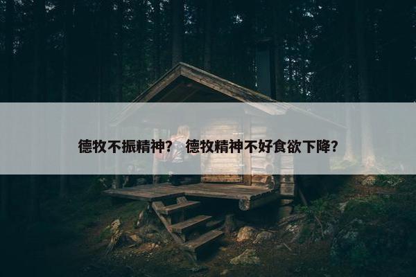 德牧不振精神？ 德牧精神不好食欲下降？