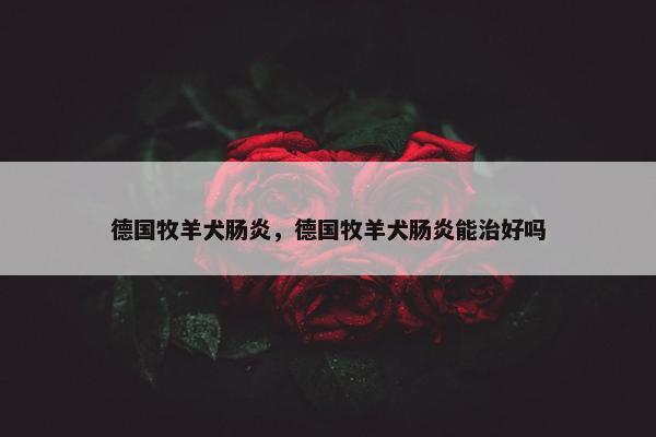 德国牧羊犬肠炎，德国牧羊犬肠炎能治好吗