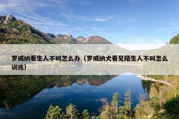 罗威纳看生人不叫怎么办（罗威纳犬看见陌生人不叫怎么训练）