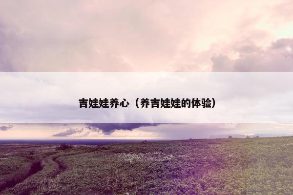 吉娃娃养心（养吉娃娃的体验）