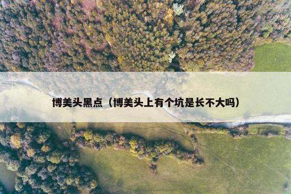 博美头黑点（博美头上有个坑是长不大吗）