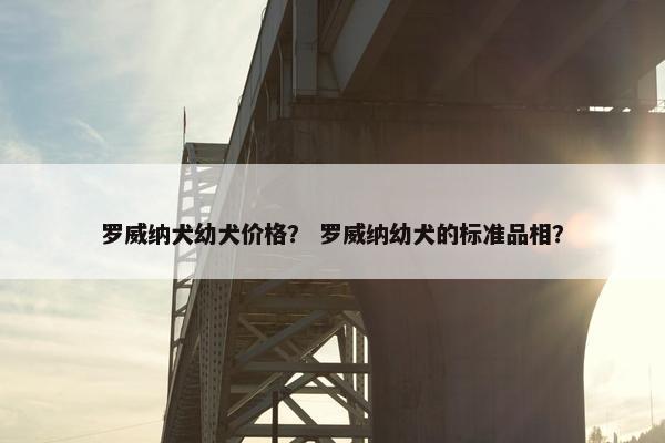 罗威纳犬幼犬价格？ 罗威纳幼犬的标准品相？