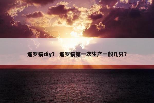 暹罗猫diy？ 暹罗猫第一次生产一般几只？