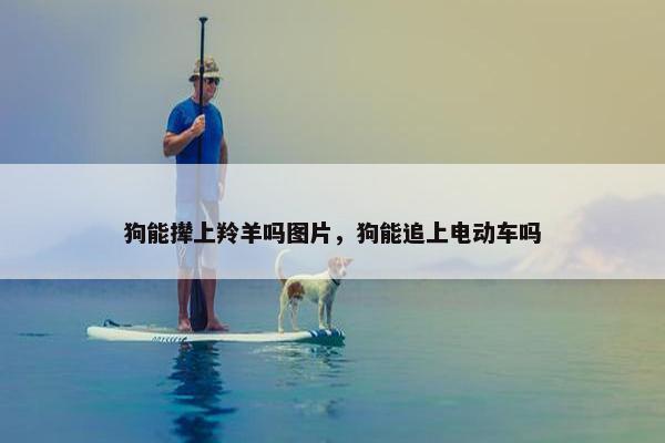 狗能撵上羚羊吗图片，狗能追上电动车吗