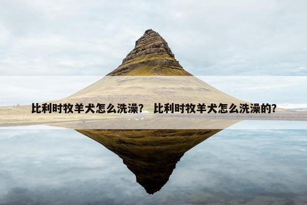 比利时牧羊犬怎么洗澡？ 比利时牧羊犬怎么洗澡的？