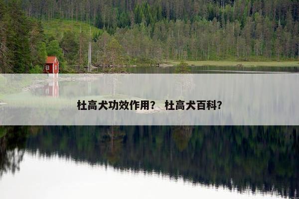 杜高犬功效作用？ 杜高犬百科？