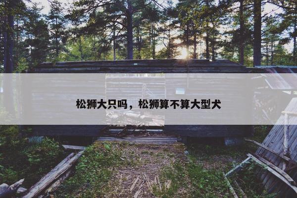 松狮大只吗，松狮算不算大型犬