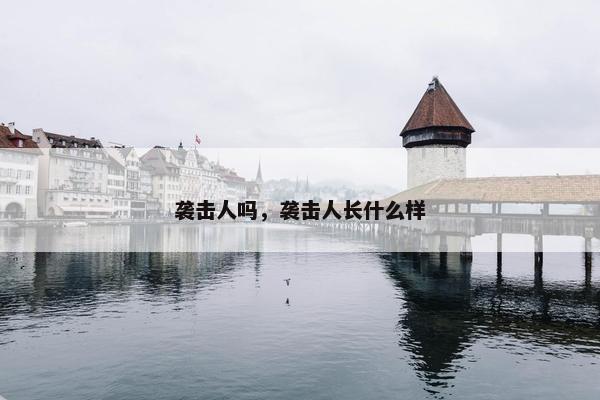 袭击人吗，袭击人长什么样