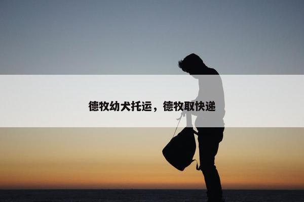 德牧幼犬托运，德牧取快递
