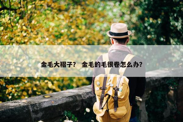 金毛大褶子？ 金毛的毛很卷怎么办？