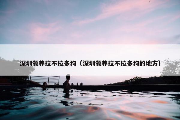 深圳领养拉不拉多狗（深圳领养拉不拉多狗的地方）