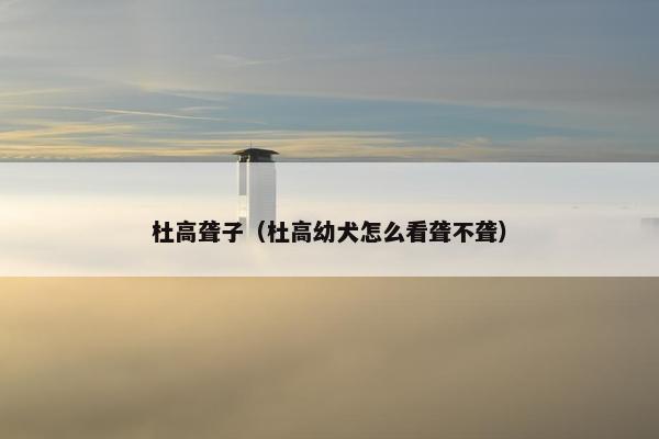 杜高聋子（杜高幼犬怎么看聋不聋）