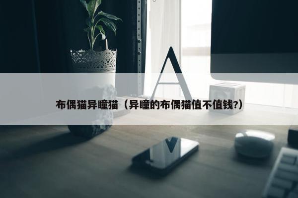 布偶猫异瞳猫（异瞳的布偶猫值不值钱?）