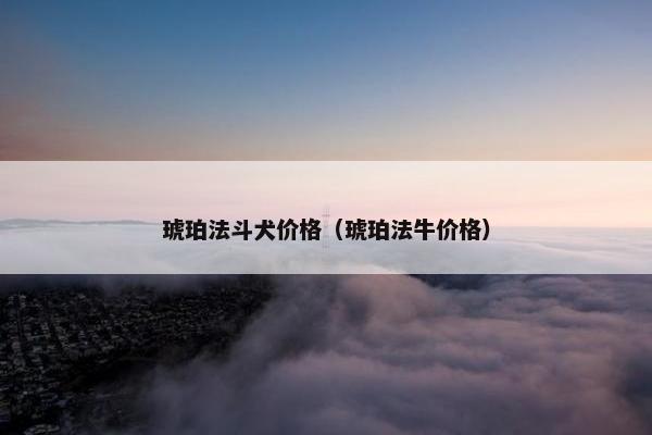 琥珀法斗犬价格（琥珀法牛价格）