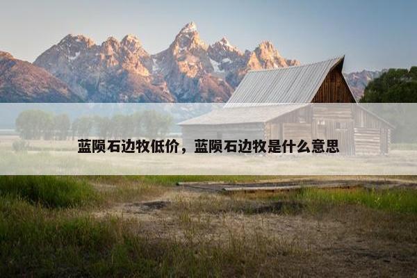 蓝陨石边牧低价，蓝陨石边牧是什么意思