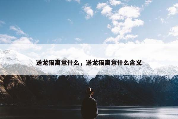 送龙猫寓意什么，送龙猫寓意什么含义