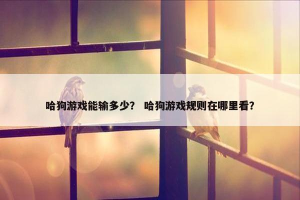 哈狗游戏能输多少？ 哈狗游戏规则在哪里看？
