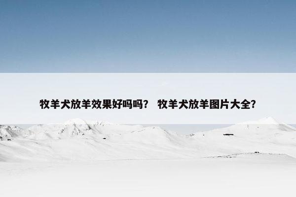 牧羊犬放羊效果好吗吗？ 牧羊犬放羊图片大全？
