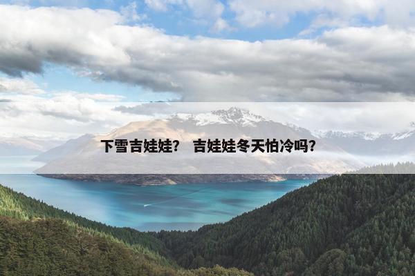 下雪吉娃娃？ 吉娃娃冬天怕冷吗？