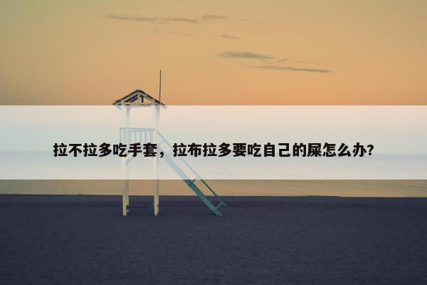 拉不拉多吃手套，拉布拉多要吃自己的屎怎么办?