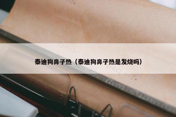 泰迪狗鼻子热（泰迪狗鼻子热是发烧吗）