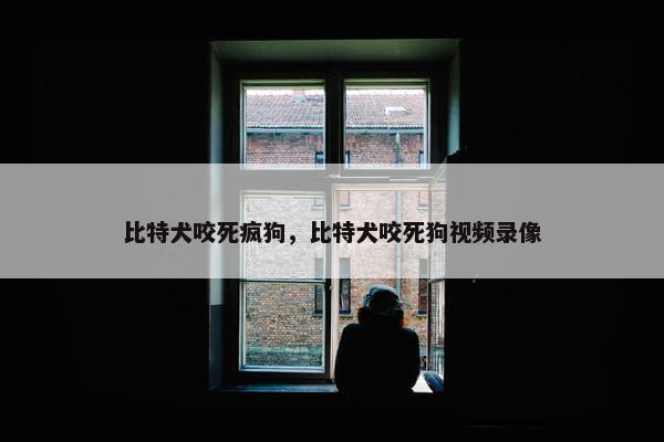 比特犬咬死疯狗，比特犬咬死狗视频录像