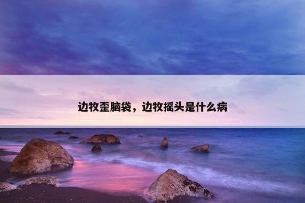 边牧歪脑袋，边牧摇头是什么病