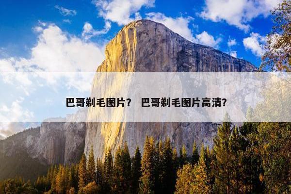 巴哥剃毛图片？ 巴哥剃毛图片高清？