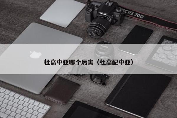 杜高中亚哪个厉害（杜高配中亚）
