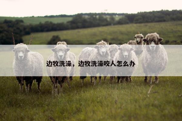 边牧洗澡，边牧洗澡咬人怎么办