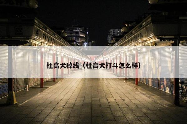 杜高犬掉线（杜高犬打斗怎么样）