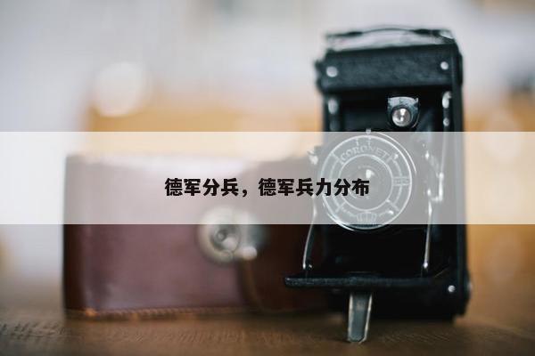 德军分兵，德军兵力分布