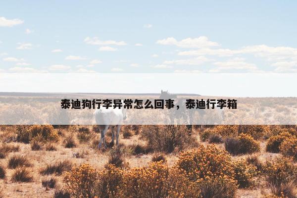 泰迪狗行李异常怎么回事，泰迪行李箱