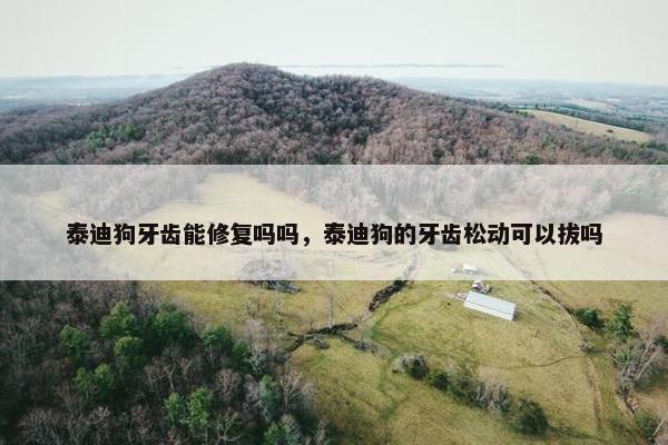 泰迪狗牙齿能修复吗吗，泰迪狗的牙齿松动可以拔吗