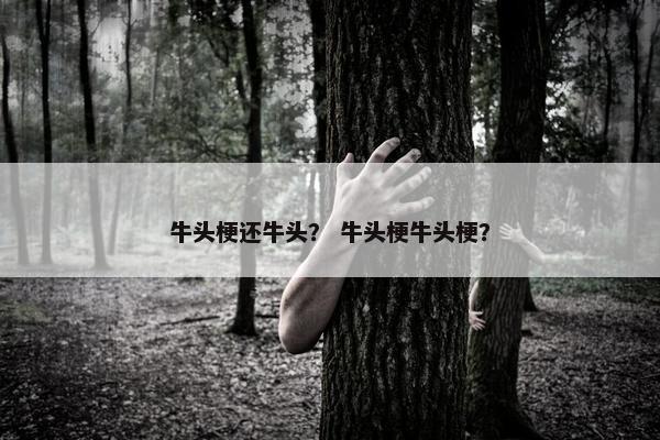 牛头梗还牛头？ 牛头梗牛头梗？