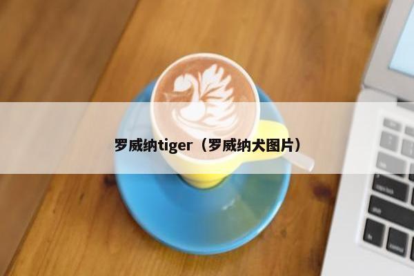 罗威纳tiger（罗威纳犬图片）