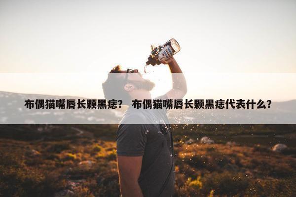 布偶猫嘴唇长颗黑痣？ 布偶猫嘴唇长颗黑痣代表什么？